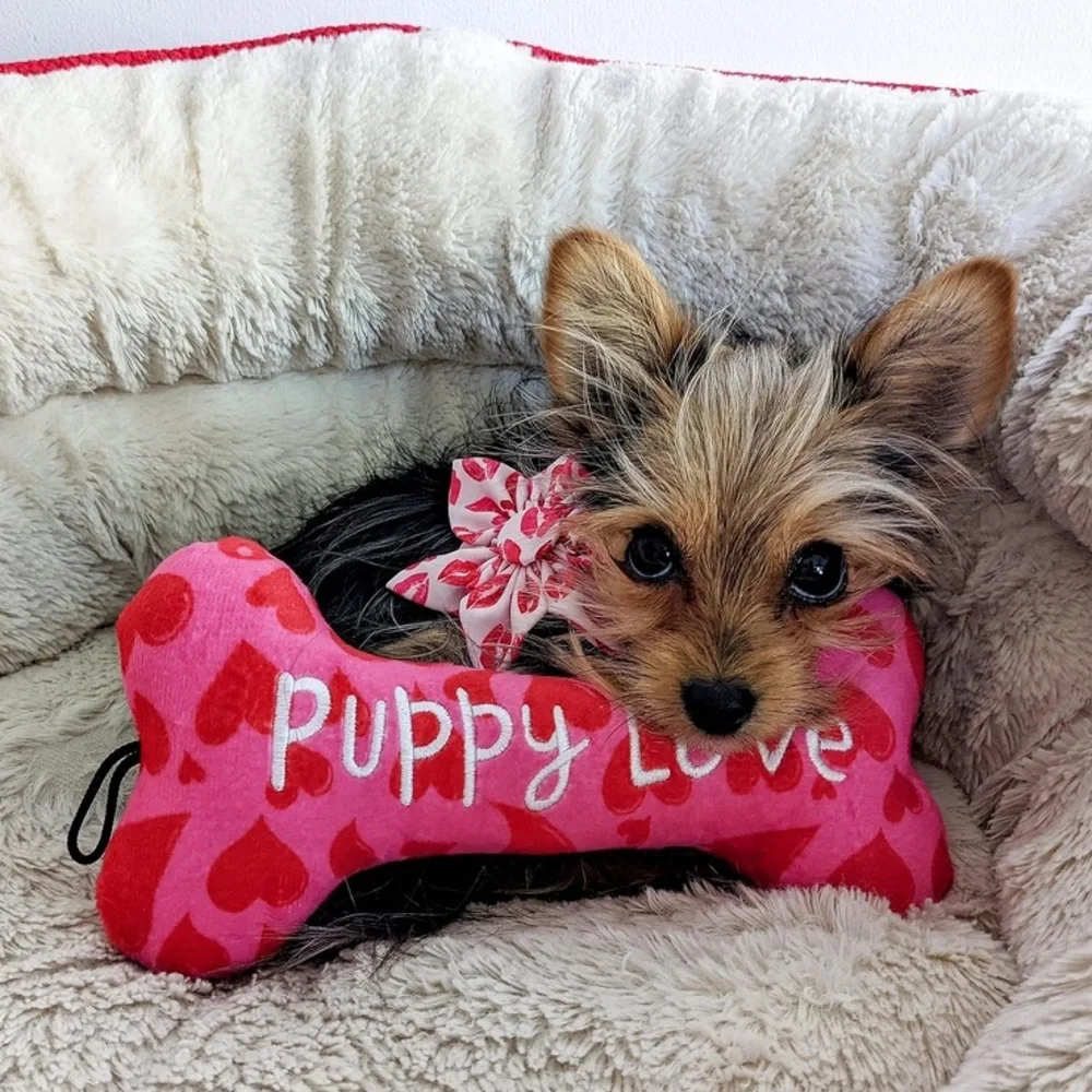 Puppy Love Pink and Red Dog Toy
